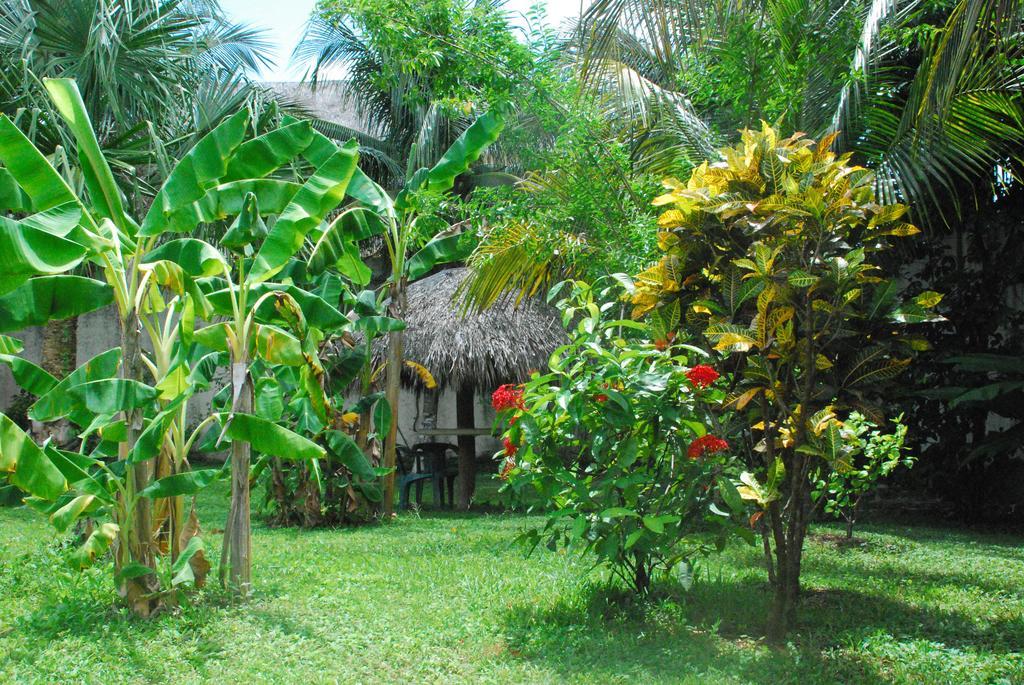 Hébergement de vacances Casa Colonial